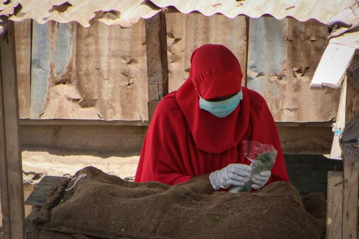 A woman in Djibouti selling khat leaves, a mild stimulant, wears a mask and gloves to ward off the COVID-19 illness