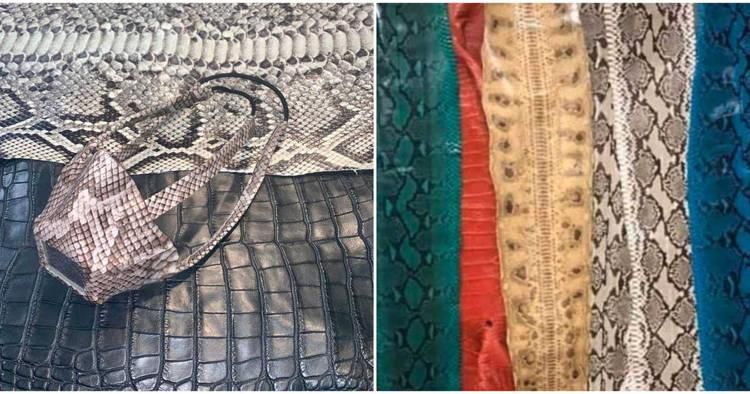 Face masks made out of alligator and snake skin hit the market