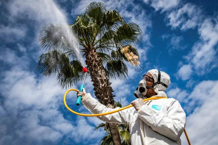 A Moroccan health ministry worker disinfects a street in the capital Rabat to combat the spread of coronavirus