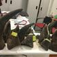 Rhino horn is in great demand in Asia where it is used in traditional medicine. Pictured are seized smuggled rhino horn in Hanoi