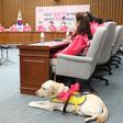 Kim Ye-ji and her guide dog Joy at a party meeting ahead of the parliamentary elections
