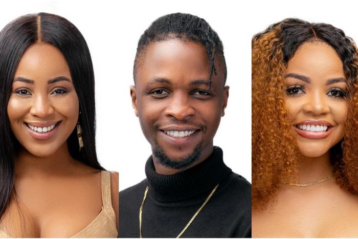 Lockdown housemates Erica, Laycon and Erica [Multichoice]