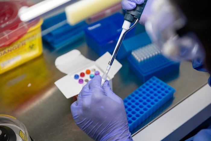 Coronavirus (COVID-19) test in a Nigerian lab [NCDC]