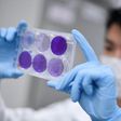 The leaders for two of the most advanced coronavirus vaccine projects -- Oxford University, in partnership with AstraZeneca labs, and China's Sinovac -- will carry out clinical testing in Brazil