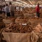 A Malawi tobacco auction of yesteryear