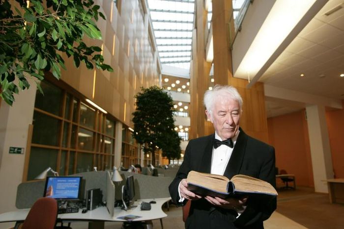 In the opening weeks of the lockdown, Nobel prize-winning poet Seamus Heaney's promise of reward for endurance struck a chord across Ireland