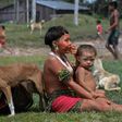 Indigenous Yanomami ethnic group members, seen waiting for COVID-19 tests at the 4th Special Frontier Platoon in Alto Alegre, Roraima state, Brazil, worry that going into cities for medical treatment will mean cutting them off from their culture