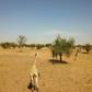 A brutal attack at the Koure Giraffe Reserve has brought put a conservation success story in doubt, and the fall-out could be long-lasting