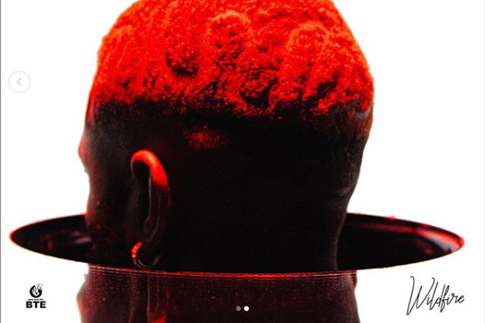 Prettyboy DO releases new EP, 'Wildlife.' (Instagram/PrettyboyDO)