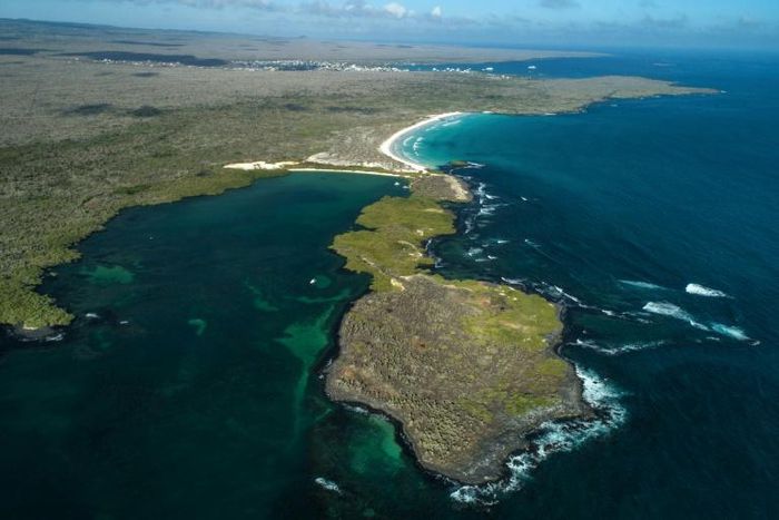 In 1979 the natural reserve became UNESCO's first World Heritage Site