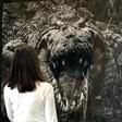 A woman observes the photograph titled "Large Crocodrillos" by Peter Beard at Sotheby's in 2008 for the Quillan Collection of Nineteenth and Twentieth Century Photographs