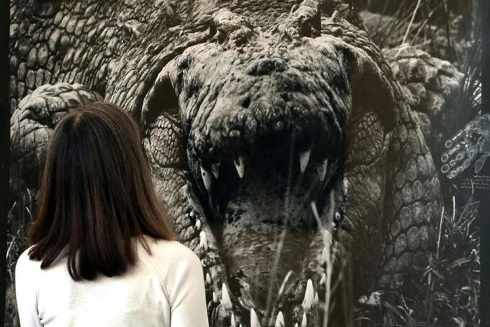 A woman observes the photograph titled "Large Crocodrillos" by Peter Beard at Sotheby's in 2008 for the Quillan Collection of Nineteenth and Twentieth Century Photographs