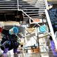 Chinese workers collect bile from a caged bear at a farm in Fujian province. Beijing is promoting the use of bear bile to treat coronavirus patients but it has no proven effectiveness