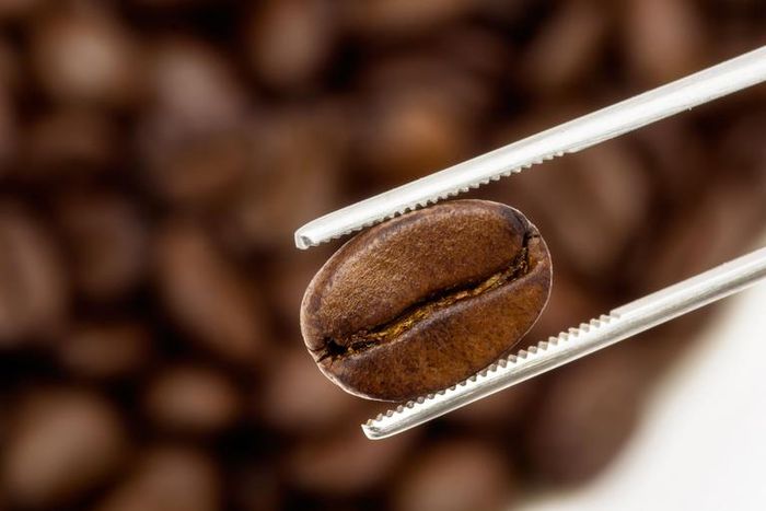 Watch Dr. Pimple Popper Pluck Blackheads