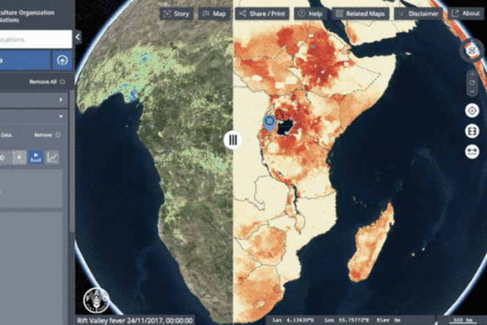 Food and Agriculture Organization (FAO)