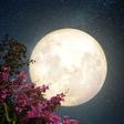 What May's Full Moon In Scorpio Means For You