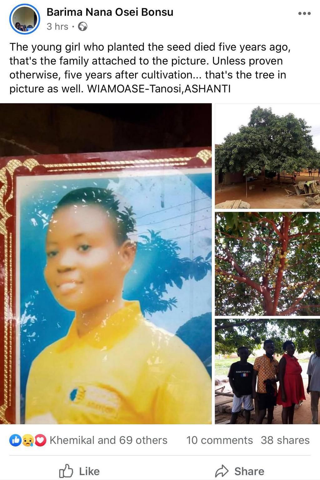 Girl who planted apple tree in Ashanti region is dead; can’t enjoy “the fruit of her labour”