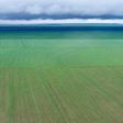A vast soy bean field in in Campo Novo do Parecis, in Mato Grosso state, Brazil. The 'Ferrograo' is a controversial project of construction of a trans-Amazonian train in Brazil to speed up its huge grain exports.