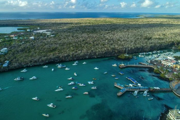 Galapagos authorities are desperately hoping for a revival of the vital tourism industry -- the main engine of the local economy -- once visitors are allowed to fly in again