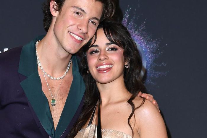 Meet Camila Cabello's Boyfriends