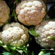 Getting ahead. New Zealanders are complaining about the price of the humble cauliflower, which are now selling for nearly US$8 each