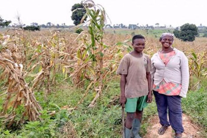 African Development Bank Group (AfDB)