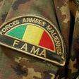 Poorly-equipped and inadequately-trained, the Malian army has hundreds of men to jihadist attacks in recent months