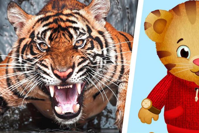 How a Cartoon Helps Me Manage COVID Rage