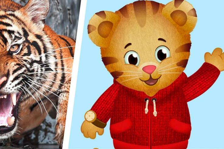 How a Cartoon Helps Me Manage COVID Rage