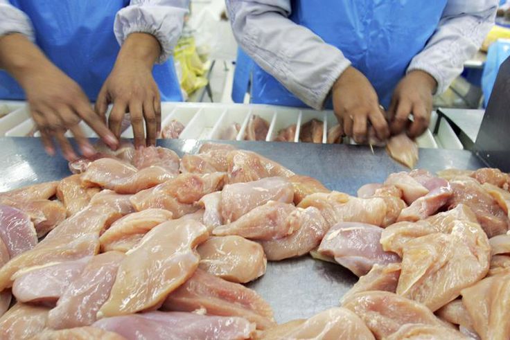 Dr. Pimple Popper Pops a Lipoma in Slo-Mo