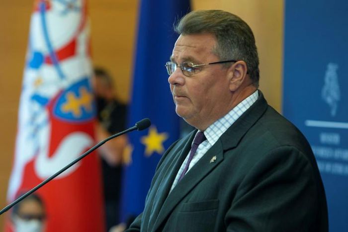 Lithuanian Foreign Minister Linas Linkevicius said  Belarusian presidential challenger Svetlana Tikhanovskaya was in "good spirits" and would speak "in the near future"