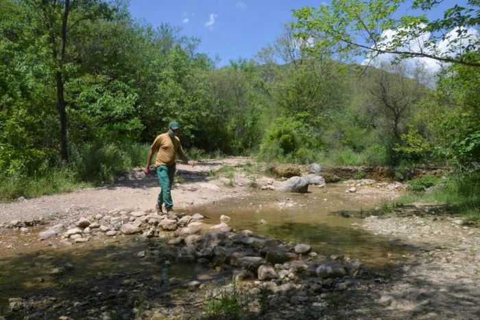 Rangers in Pakistan's Margalla Hills National Park have seen animal activity increase since a coronavirus lockdown was introduced