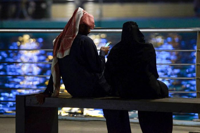 Online supporters of Saudi Arabia's government are fierce critics of those they see as opponents of state policies