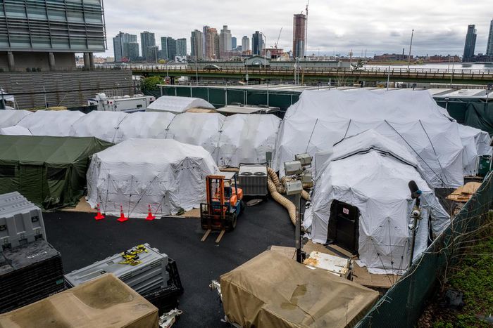 New York City Considers Mass Grave in Park for Virus Victims