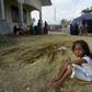 Hundreds of Rohingya refugees -- mostly women and children -- suffered more than 200 days of terror on the high seas, until they landed this week on Indonesia's northern coast
