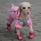 It's a dog's life in Cyprus where man's best friend can be taken out for walks each day while the movement of children are more restricted amid the coronavirus pandemic