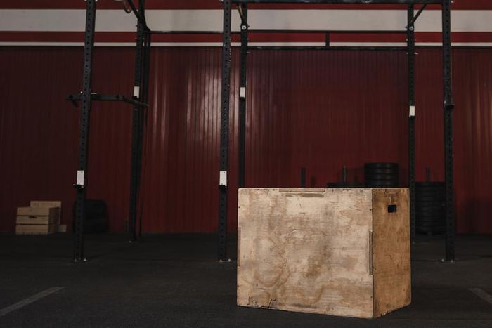 CrossFit CEO Accused of Private Racist Statements