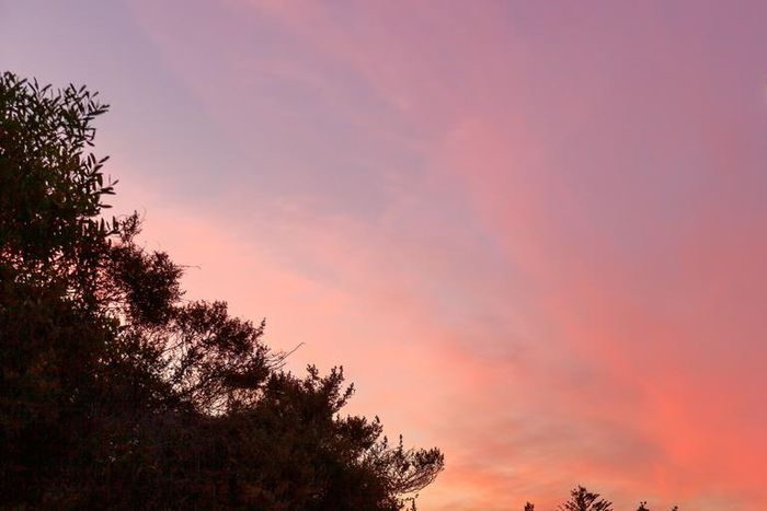 What The New Moon In Cancer Means For Your Sign