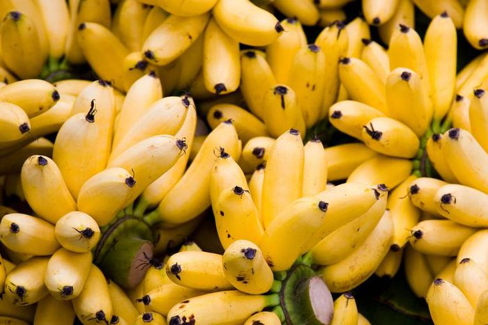 Dr. Pimple Popper Squeezed a 'Mashed Banana' Cyst