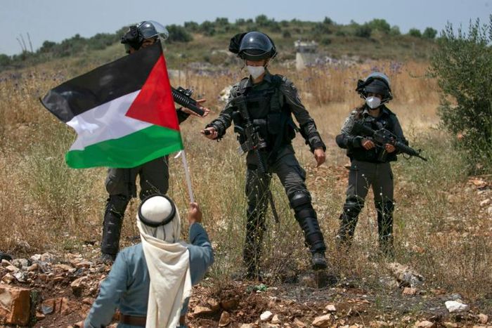 A Palestinian man facing Israeli forces waves a national flag during a protest against Israel's plan to annex parts of the occupied West Bank, near the town of Tulkarm on June 5