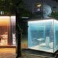 The genius behind Japan’s New transparent public toilets