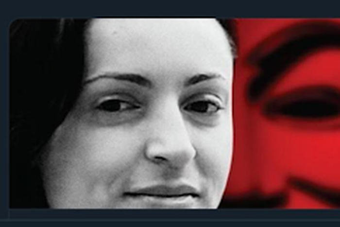 Arielle Silverstein and her antics online