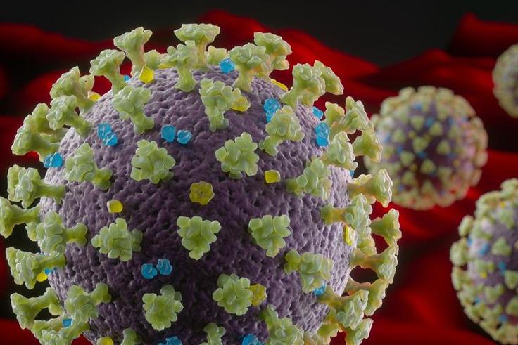 Why We Don't Know the True COVID-19 Death Rate