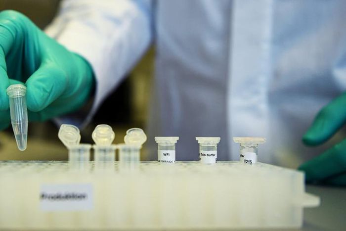 FILE PHOTO: Employee Philipp Hoffmann, of German biopharmaceutical company CureVac, demonstrates research workflow on a vaccine for the coronavirus (COVID-19) disease at a laboratory in Tuebingen