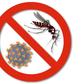 Global malaria partnership urges countries to act during ‘window of opportunity’ to save lives from malaria and COVID-19. [medpagetoday]