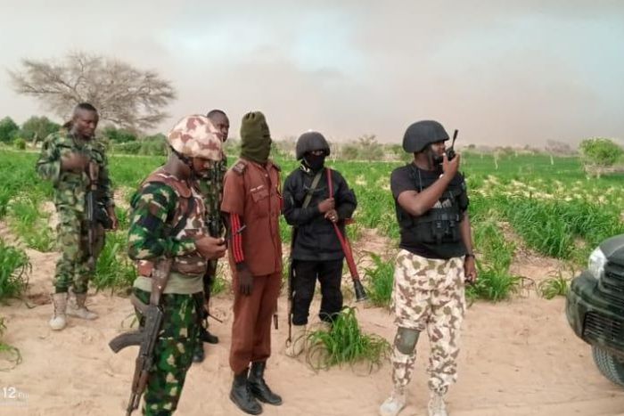 Army recovers 711 cows, 592 sheep from bandits. [Twitter/@DefenceInfoNG]