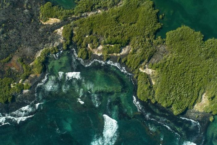 Scientists have probed deep-sea ecosystems in the Galapagos, going to depths of up to 3,400 meters using state-of-the-art Remote Operated Vehicles
