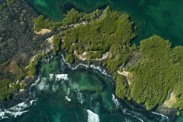 Scientists have probed deep-sea ecosystems in the Galapagos, going to depths of up to 3,400 meters using state-of-the-art Remote Operated Vehicles