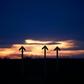 Expectations are growing that OPEC will agree to reduce oil output to support prices