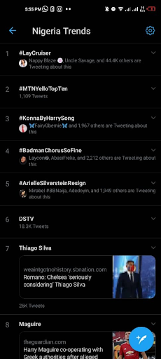 Arielle Silverstein and her antics online